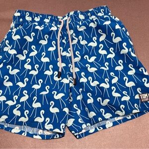 Tom & Teddy Blue Flamingo Swim Trunks